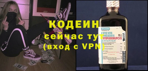 шишки Кодинск