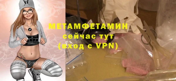шишки Кодинск