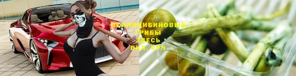 шишки Кодинск