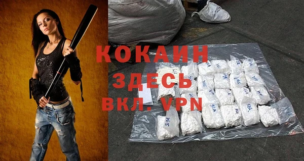шишки Кодинск