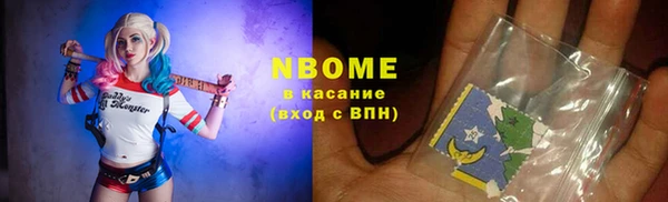 амф Козельск
