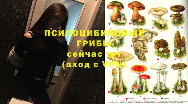 амф Козельск
