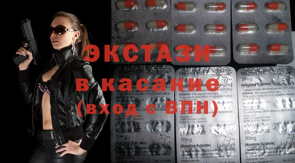 шишки Кодинск