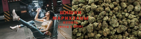 спиды Коряжма