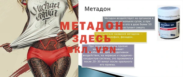 шишки Кодинск
